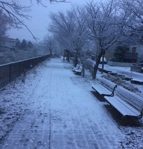 札幌開発部より～北の雪だより編～